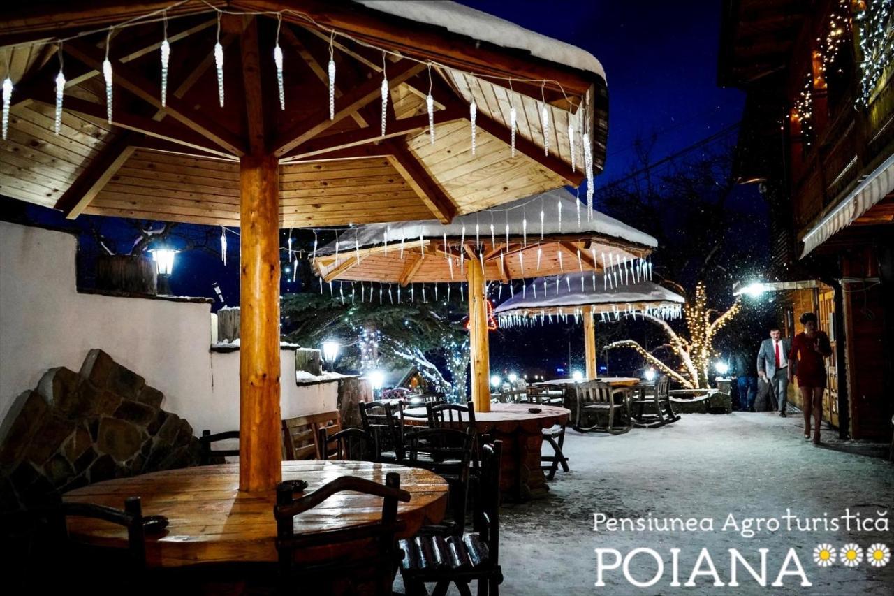 Pensiunea Agroturistica Poiana Poiana Negrii Exterior foto