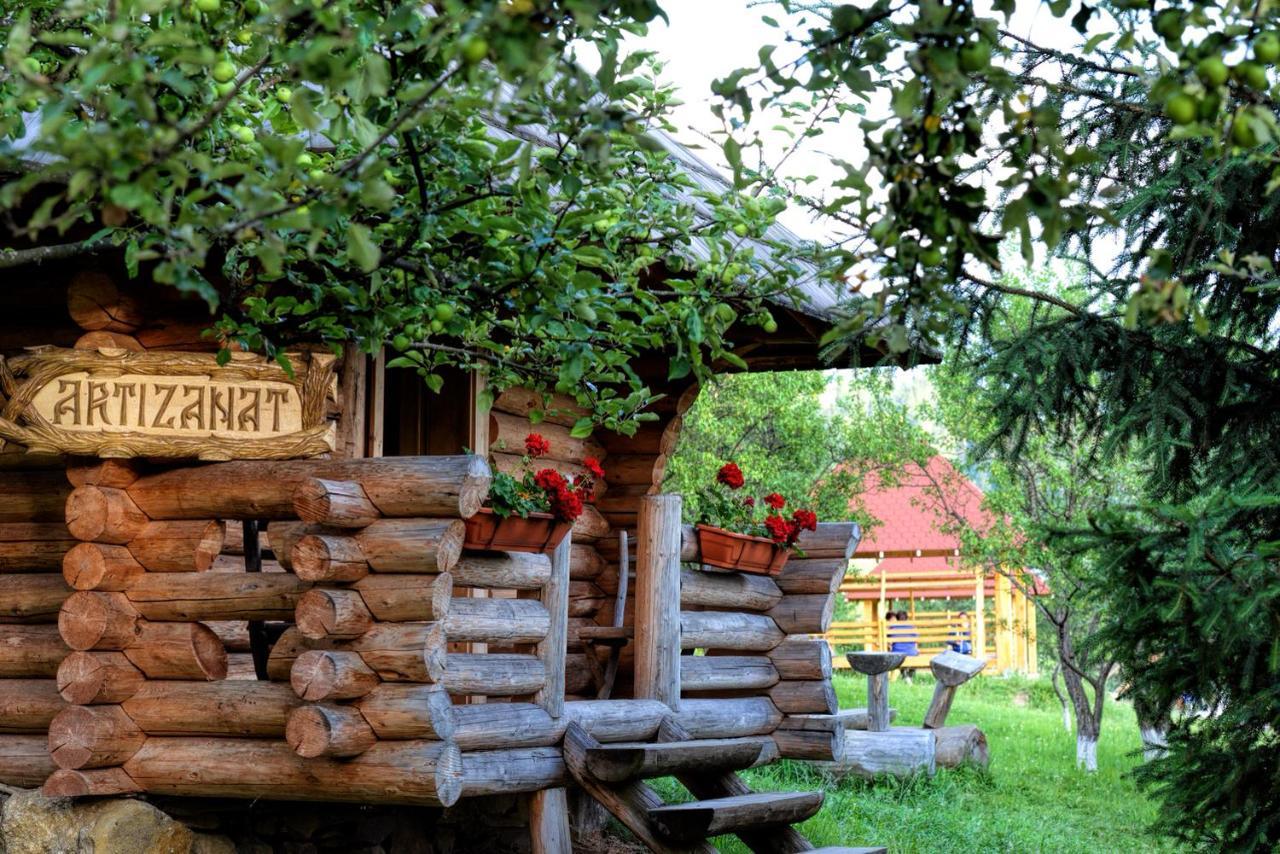 Pensiunea Agroturistica Poiana Poiana Negrii Exterior foto