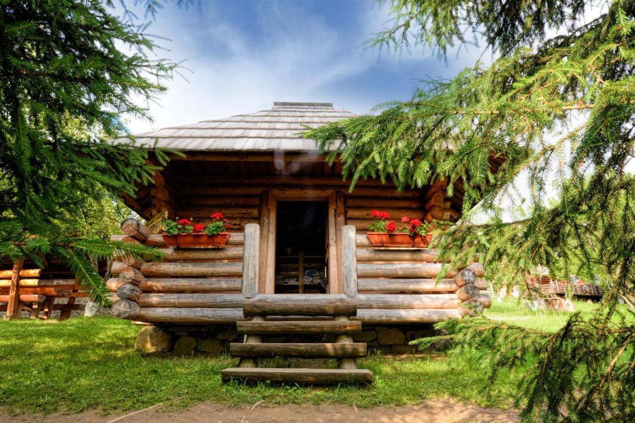 Pensiunea Agroturistica Poiana Poiana Negrii Exterior foto