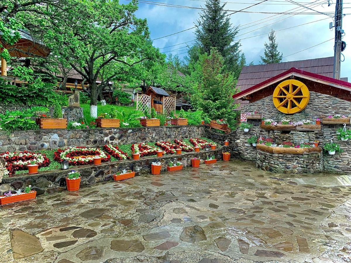 Pensiunea Agroturistica Poiana Poiana Negrii Exterior foto